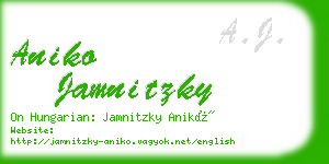 aniko jamnitzky business card